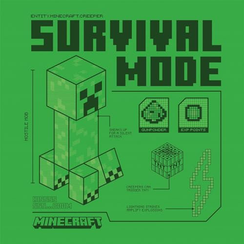 Pyramid International Minecraft (Creeper) Leinwand-Wanddekoration für Fans, ikonisches Creeper-Design, tolle Ergänzung zu Minecraft-Themenräumen