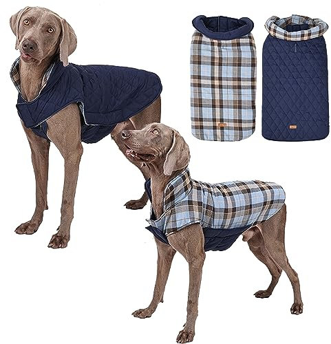 Tineer wasserdichte doppelseitige Hundejacke Weste für kleine, mittlere und große Hunde - Wendbarer Warmer Hundemantel Hundebekleidung für Herbst und Winter (XL, Blau)