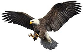 Slakerbe Motorhaube Aufkleber Benutzerdefiniert Wasserdicht Selbstklebend Autodekoration 3D Auto Aufkleber für Auto Typ3