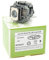 Alda PQ Premium, Projector Lamp compatible with EPSON EB-S9, EB-S92, EB-W10, EB-W9, EB-X10, EB-X9, EB-X92, Powerlite X9 Projectors, Lamp with Housing