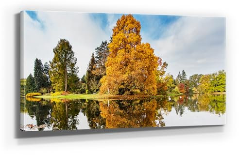 Traumhaftes Leinwandbild Wald, Motiv Buche im Herbst. Es ist 120x60cm groß und ist fertig aufgespannt auf Holzrahmen. Ein XXL Wandbild als Hintergrund und Deko für Wohnzimmer & Schlafzimmer