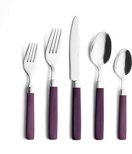 Ensemble de couverts en acier inoxydable ANNOVA - Poignées de couleur - Fourchettes à dîner, fourchettes à salade, couteaux de table, cuillères à soupe, cuillères à thé (purple, 20pieces)