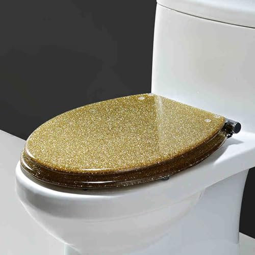 Eleeonora Toilettensitz Aus Glitzer Harz,Verdickter Toilettensitz Aus Harz,Wc Sitz Mit Absenkautomatik,Stummschaltung Aus,rutschfest,Nicht Leicht LöSen,Geeignet FüR Badezimmer Oder GäSte-Wc