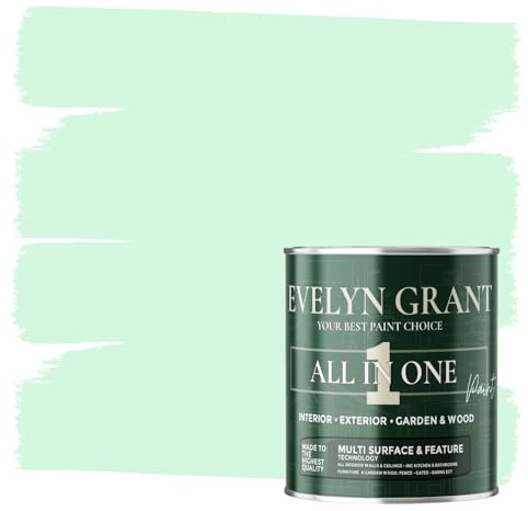 Evelyn Grant All-IN-ONE Paint & Primer - Multi-Surface Paint For Interior Walls, Outdoor Garden & Exterior Walls, Wood Furniture | High Durability Multi-Feature - Mild Mint - 0.5L - Matt