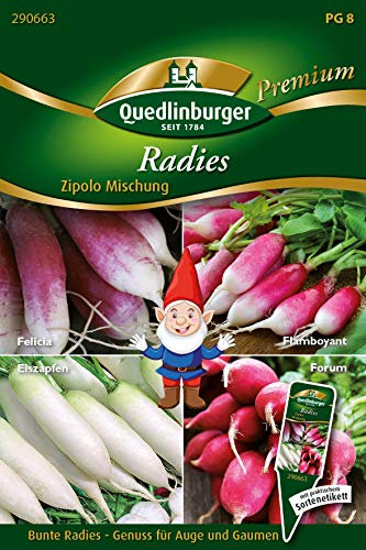 Quedlinburger BALDUR-Garten Radies Mischung Zipolo,1 Portion
