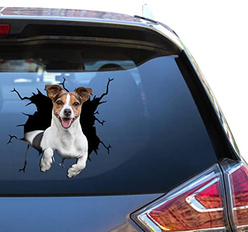 Jack Russell Terrier Aufkleber Jack Russell Auto Aufkleber Lustige Fenster Aufkleber für Mädchen Warnung Race Aufkleber