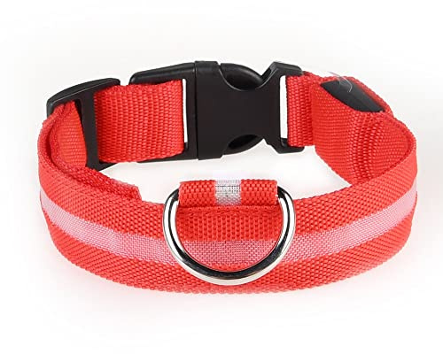 Led dog collar USB Rechargeable & Waterproof with 3 Flashing Modes, super bright (S, RED)