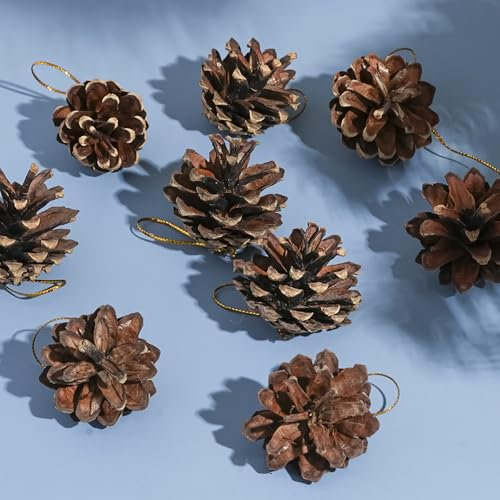 DAHI 36 Pz Pigne di Natale Naturali, 3-4 cm Mini, da Appendere, per Albero di Natale, Decorazioni Autunnali e Invernali