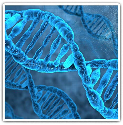 Quadratische Aufkleber, 7,5 cm, Blau, DNA-Strang, Wissenschaft, Biologie, Laptop, Tablet, Gepäck, Scrapbook, #8896