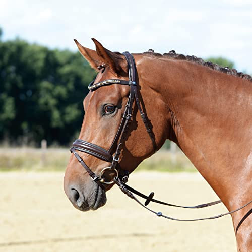 Busse