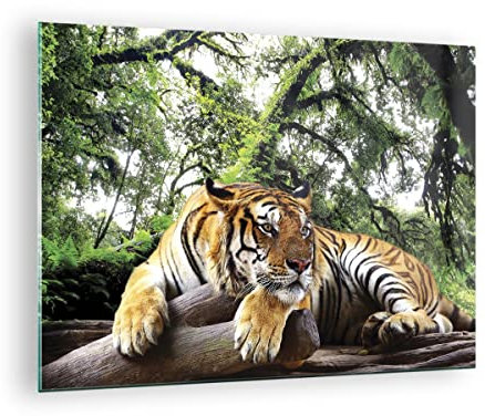 Bilder auf Glas Tiger Dschungel Ruhe Glasbild 70x50cm Wandbilder Dekoration Wohnzimmer Schlafzimmer Küche Deko Klein Wanddeko Bild im Glas Wand Kunstdruck Art Modern Wall Decor Glasdruck GAA70x50-4166