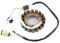 DZSYINGCHUSM ZüNdspule Rotor Motorrad Magneto Motor Generator Stator Spule Für Massimo Für Alligator 500 Für Massimo Knight 500 Lichtmaschine Stator