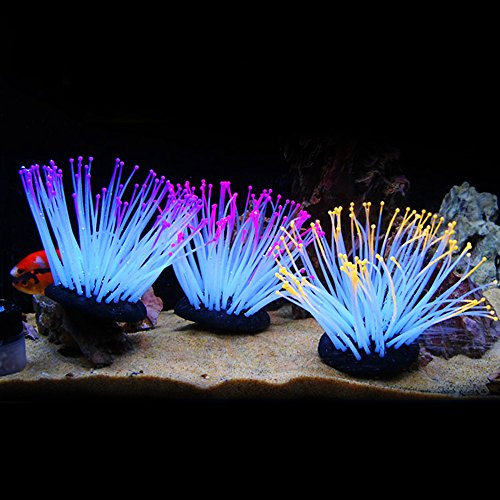 Zhi Jin Anémone artificielle colorée en silicone, décoration pour aquarium sécuritaire