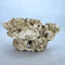 Riffgestein,18 x 13,5 x 10 cm Felsen Stein Nachbildung, Meerwasser Aquarium Deko