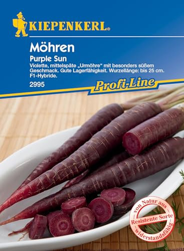 Kiepenkerl Profi-Line Möhrensamen Purple Sun, F1 2995 - violette, mittelspäte Urmöhre mit besonders süßem Geschmack - Wurzellänge bis 25 cm - Gemüsesamen, Saatgut, Möhren Samen