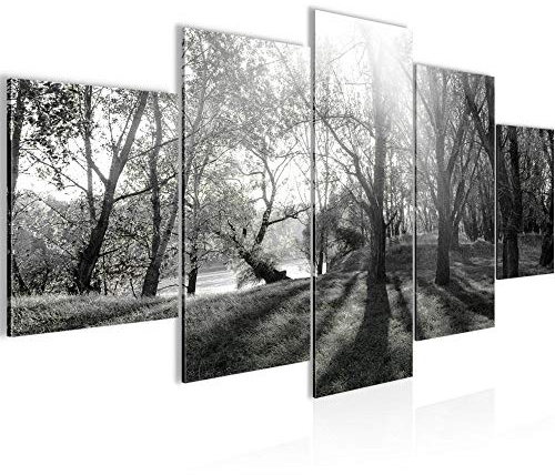 Runa Art Bild Schlafzimmer Wohnzimmer Wald Landschaft 5 Teilig Sonne Schwarz Weiss Wandbilder auf Vlies Leinwand 608453c