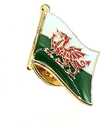 Wales Welsh Cymru Red Dragon Metal Country Flag Pin Badge