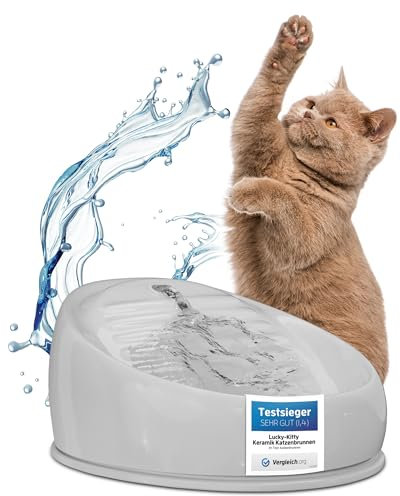 Lucky Kitty Trinkbrunnen für Katze grau I Katzenbrunnen Keramik Handarbeit, hygienisch I Kein Aufladen, kein Filter-Tausch I Trinkbrunnen leise & energiesparend I Wasserspender Katzen plastikfrei