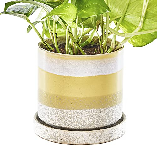 Chive - Minute, Succulent, Cactus Pot and Saucer Ceramic Flower and Plant Container with Drainage Hole and Detachable Saucer Great for Indoor/Outdoor Garden Decor (Yellow)