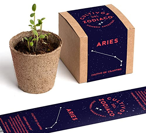 Cultivos del Zodiaco - Aries | Semillas de Cilantro | Kit de cultivo con bomba de semillas, sustrato y maceta | Regalo original para amantes del horóscopo | Resetea
