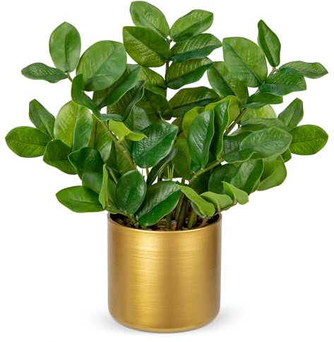 Hollyone Künstliche Pflanzen 40cm, Kunstpflanzen im Gold Topf, Kunstpflanzen Wie Echt, Zimmerpflanzen Künstlich mit Töpfen für Tischdeko Büro Badezimmer Schlafzimmer Wohnzimmer Deko