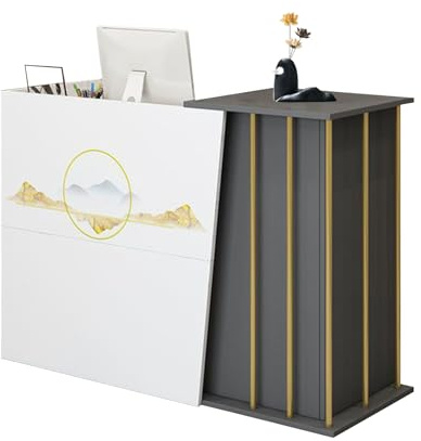 GAOXIAO Empfangstheke Büro Theke Laden Messe Tresen, Moderner Bartheke mit Stauraum an der Rezeption Tisch, Verkaufstresen mit 2 Schubladen, Kassentisch für Kosmetikstudio A 100 cm