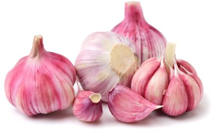 Violetter Knoblauch | Frischer Lila Knoblauch aus Spanien (3 Stück)
