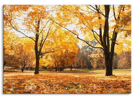 Paul Sinus Wandbild auf Leinwand und Holzrahmen 100x70cm – Leuchtender Herbstwald in goldenen Farben