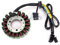 Motorrad-Zündspule 32101-19F00 32101-19F10 Generator Stator Spule Für Suzuki SV650 SV650S SV 400 650 650S 1999-2002 SV400 1998 1999 2000 2001 2002 Statorspule Magneto