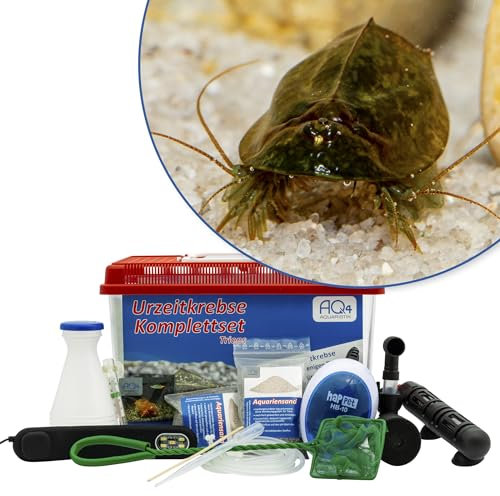 AQ4Aquaristik Triops cancriformis simplex Premium Komplett-Set mit ca. 200 Urzeitkrebs Eiern, 6 l Becken, LED-Beleuchtung, Zuchtansatz, Filter, Luftpumpe, Kescher, Futter, Zubehör, Anleitung,