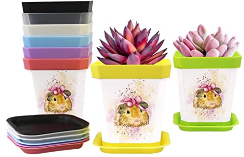 8 Stück Kunststoff-Pflanzen-Sämlinge für Kinderzimmer, schönes Aquarell-Meerschweinchen-Muster, Blumentopf mit Tablett, 8 Farben