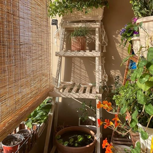 Bambus Rollo 45Cm 50Cm 65Cm 70Cm 85Cm 90Cm 120Cm Bambusjalousien for Fenster Sonnenschutz Natürlicher Schilfrohrvorhang [benutzerdefinierte Größe] Schilfjalousien Mit Aufzug Raffrollos Küche