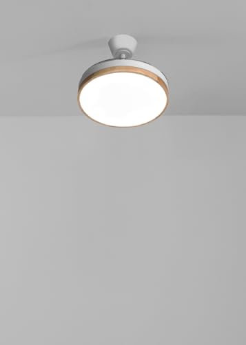 CREATE Wind Clear S Ventilateur de plafond avec lumière et télécommande, 40 W, Ø91 cm, minuteur, 6 vitesses, pales rétractables, 3 températures de lumière, fonction été/hiver, bois clair