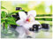 ARTland Spritzschutz Küche aus Alu für Herd Spüle 70x50 cm (BxH) Küchenrückwand mit Motiv Natur Zen Pflanze Spa Steine Bambus Asien Orchidee T9IQ