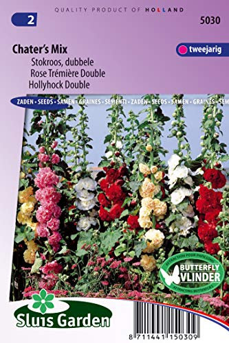 Rose Trémière double Chater's Mix - Graines De Fleurs Bisannuelles