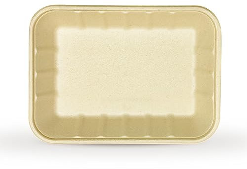 DISPOSABLE GREEN® | 24 cm x 18 cm Rectangle Tray | 25 Pcs | Super Strong | Unbleached Sugarcane Bagasse | Home COMPOSTABLE, Biodegradable, ECO Friendly