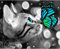 jieyisier Chat Diamond Painting，Butterfly Diamond Painting Complet，Animaux Diamond Painting Kit，Painting Diamant Pour La Décoration Murale De La Maison 30x40cm