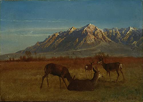 MHFFDYIV Famoso Quadri su Tela Moderni Tela e Stampa Cervo nella casa di montagna di Albert Bierstadt per la Decorazione Della Parete 60x90cm