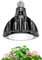 36W LED Lights, Espectro Completo Grow Light,6000K Lámpara de Cultivo Plantas,Luces de Crecimiento Plantas,LED Lámpara de Planta de Espectro Completo,Luces Crecimiento Plantas para Plantas de Interior