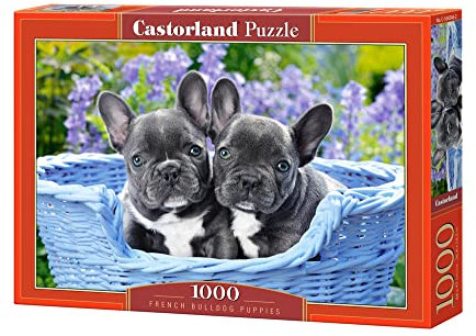Castorland C-104246-2 French Bulldog Puppies, 1000 Teile Puzzle, Bunt