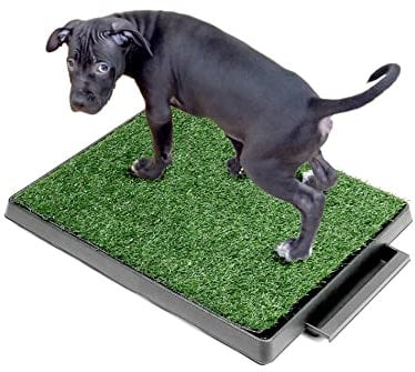 QWORK® 63 x 51 cm Toilette Cani con Erba Sintetica, Facile da Pulire, per Cuccioli e Cani Anziani, per Casa ed Esterni