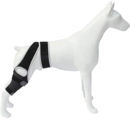 Kniestütze für Hunde, Unterstützung für Große Kleine Hunde, Die an ACL, CCL