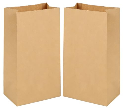 Gaoyong 100 Stück Papiertüten 20x12,5x30,5cm Braun Papiertüten | Kraftpapier Brotbeutel für Geburtstagsparty Kindergeburtstag (70gsm)