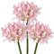 Hollyone 3PCS künstliche Agapanthus Blumen für Dekoration, 30'' Long Stem Real Touch Fake afrikanischen Lilie Blumen rosa, Faux Seide Lilie Blume für Frühling Home Office Hochzeit Tisch Centerpiece