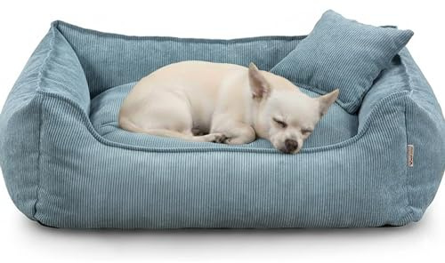 Gutekissen® Hundebett Lucky – Flauschiges Hundekissen für kleine & große Hunde – Waschbares Haustierbett mit Füllung aus Polyurethanschaum & abnehmbarem Bezug (Blau, XS - 55x40)