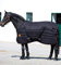 Horseware Rambo Ionic Liner 100g - schwarz