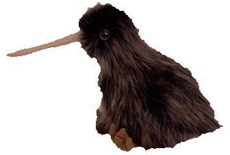 TY Beanie Buddy - BEAK the Kiwi Bird by Beanie Buddies