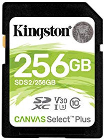Kingston 256 GB SDXC Class 10 Flash Memory Card SDS2 Memory