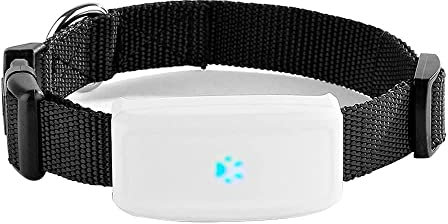 TKMARS GPS-Tracker für Hunde, kein ABO mit kostenloser App, GPS-Finder mit Halsband für Hunde, wasserdichter IP66 GSM GPRS-Tracker TK911