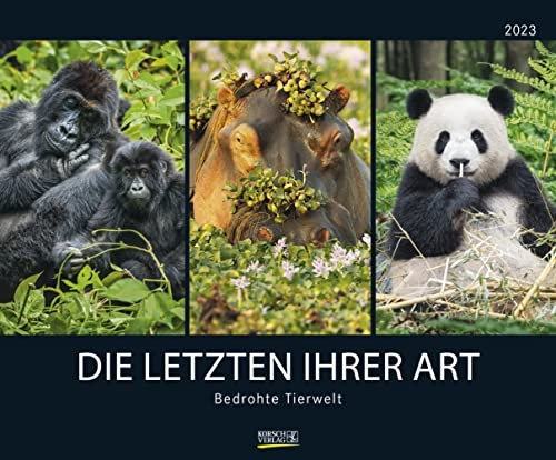 Harenberg Bedrohte Tierwelt, die letzten ihrer Art - - Kalender 2023 - Art-Format - Korsch-Verlag - Fotokalender - Naturfotografie - 55 cm x 45,5 cm